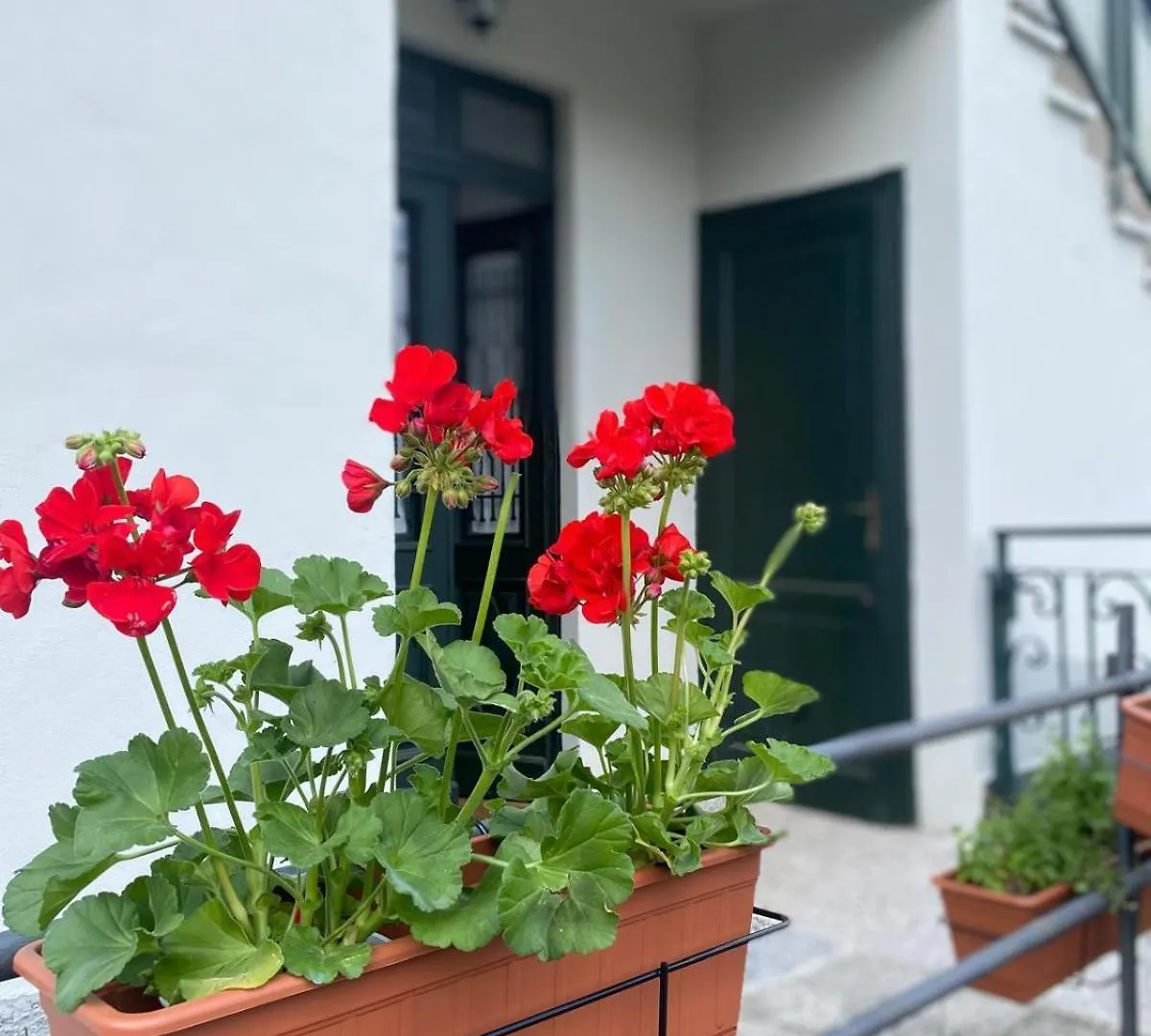 Appartamento Storico In Villa Anni '30 - Vicino Al Centro Côme